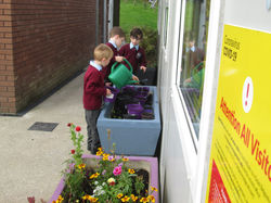 Aistear-Garden Centre26