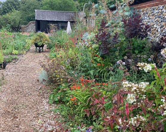 A long herbaceous border