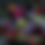 Thumbnail: Ready to Arrange Flowers