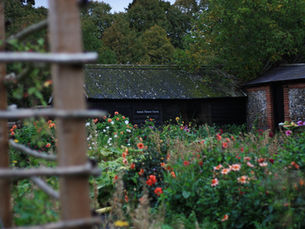 October Garden Journal