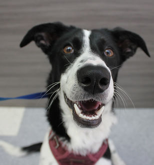 Rina Valimont (8).jpg