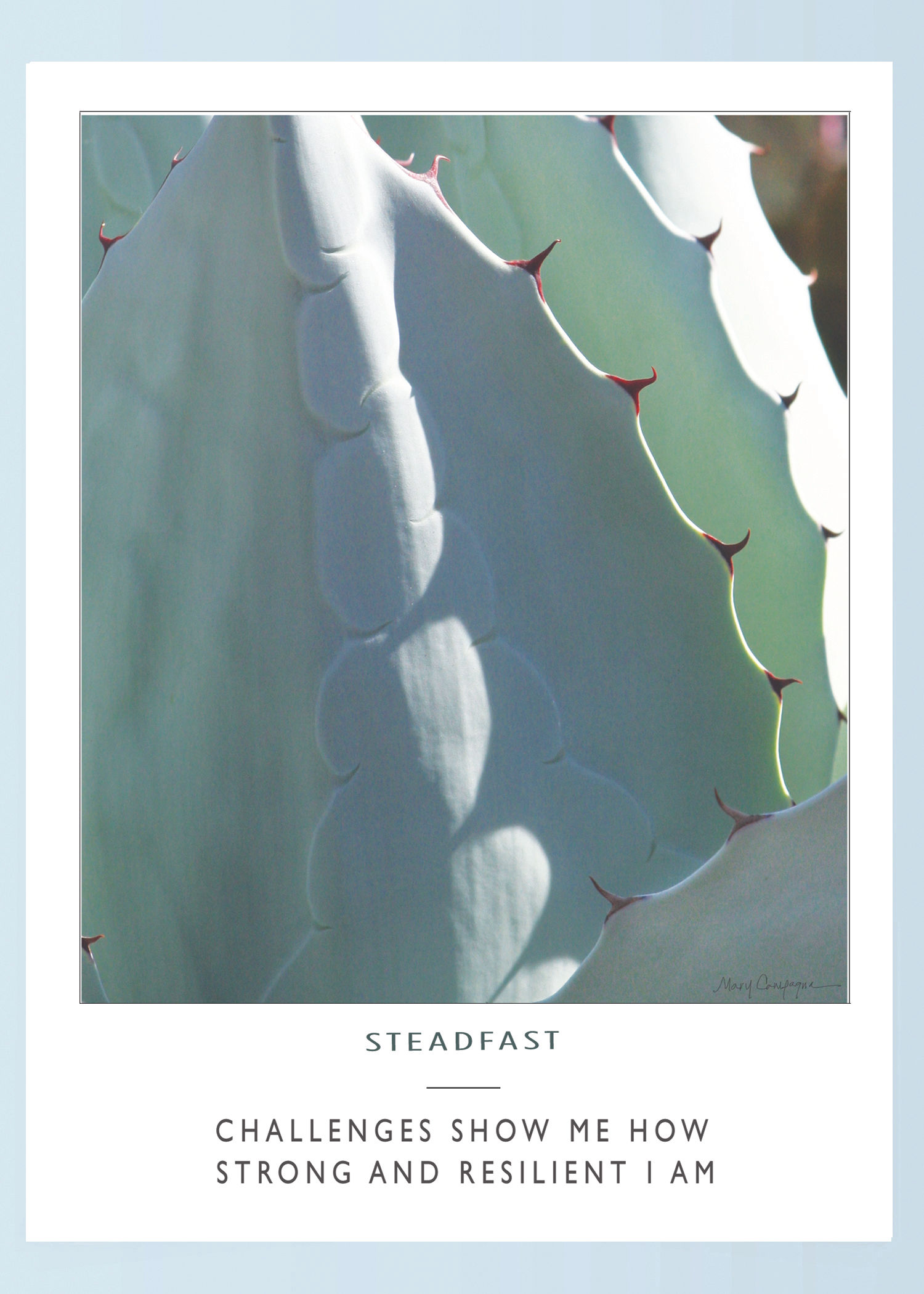 Self-Talk-Courage-Steadfast