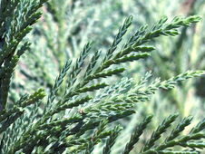 Year Ending 12/10/25