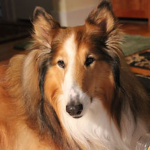 Brody picture.jpg