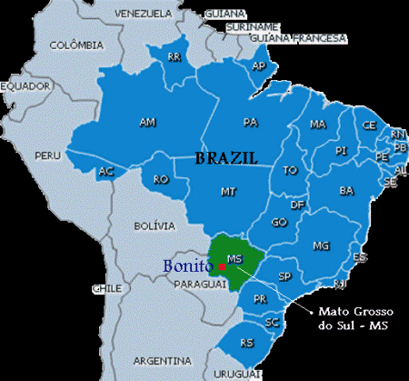 Números divulgados pelo IBGE (Instituto Brasileiro de Geografia e Estatística) apontam que a população indígena de Mato Grosso do Sul é de 61.737 pessoas. Apenas uma aldeia, em Dourados, concentra 18% dos índios no Estado, com uma população de 11.146.