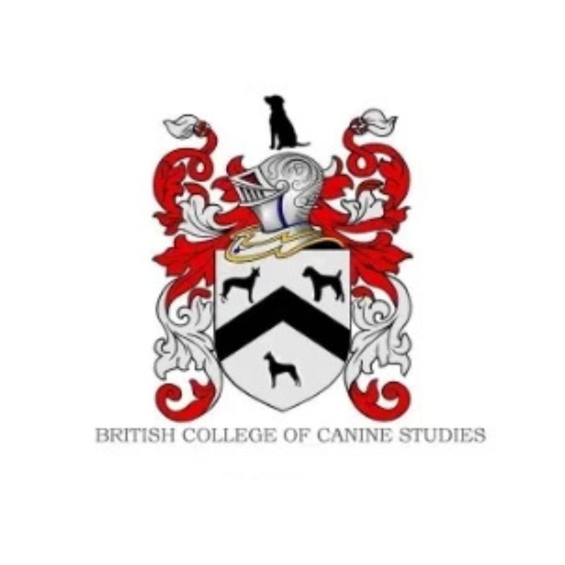 British college of canine studies logo