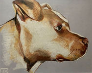 IMG_8577.jpeg