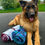 Thumbnail: Cosmic bear and rainbow outline dog print settle mats