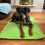 Thumbnail: Green personalised settle mat