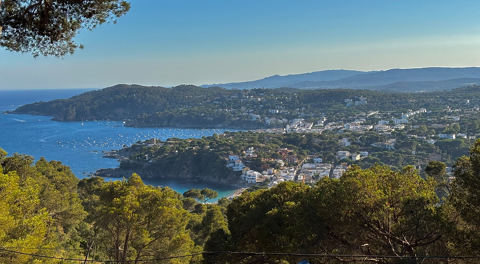 Vue sur Llafranc depuis la colline