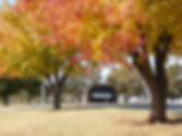 DSCN0014.JPG