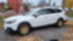 Sparco Terra