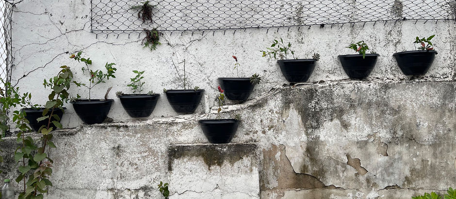 Lições que um muro (sim, um MURO) me ensinou