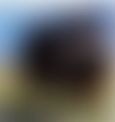 ヤクのマフラー、軽くて暖かくて一目惚れだったそうです。