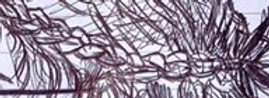 294248626_741768180364527_7099737314754851144_n.jpg