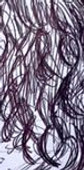 294248626_741768180364527_7099737314754851144_n.jpg
