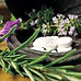 schuler-2913779_1280_edited.jpg