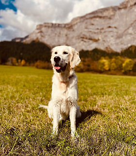 IMG_7628.jpeg