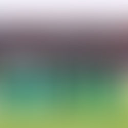 Pour les Lions A, ça passe, pour les Olympiques, ça casse !