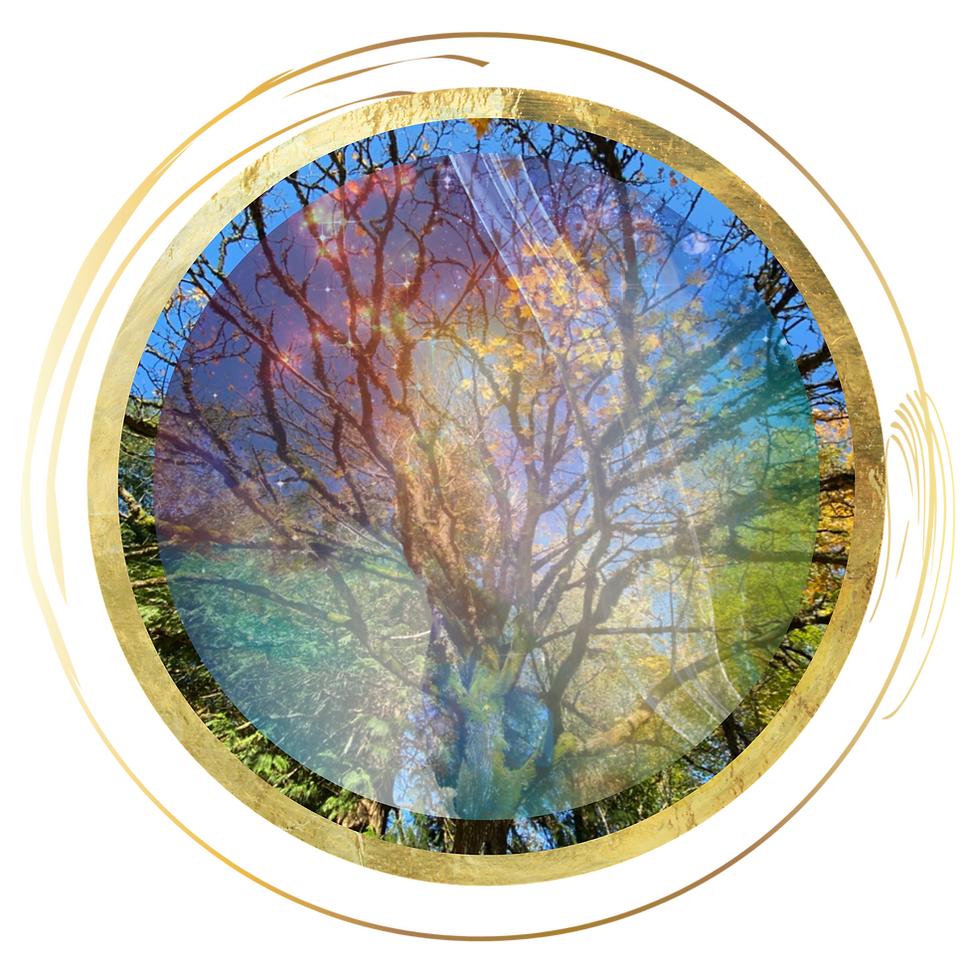 tree galaxy circle (2).png
