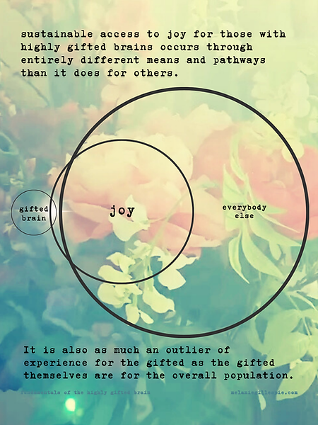 sustainable access to joy for those with highly gifted brains occurs through entirely different means and pathways than it does for others. It is also as much an outlier of experience for the gifted as the gifted themselves are for the overall population.