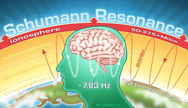 SchmRBrainwaves.jpg