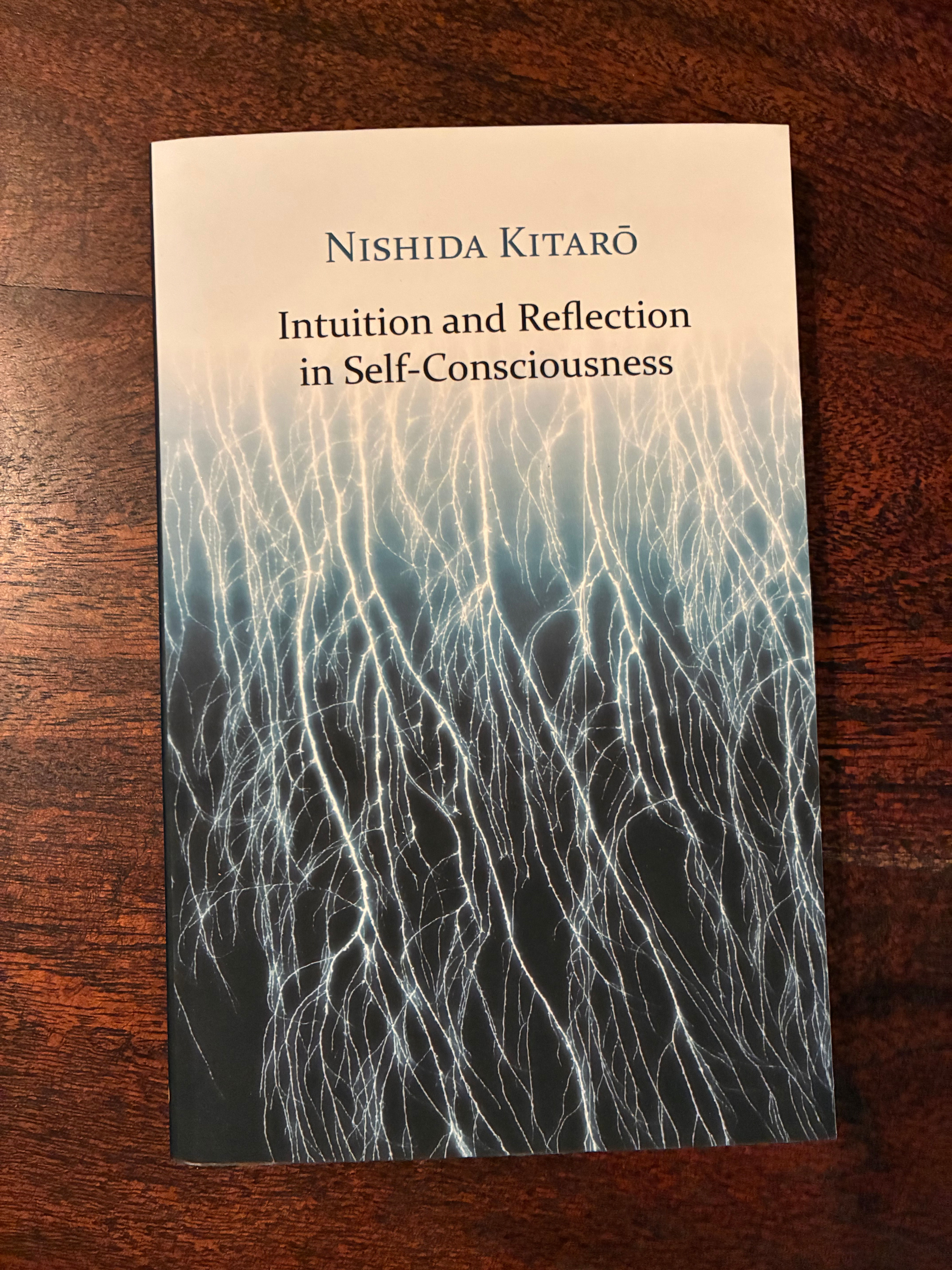 Intuition and Reflection in Self-Consciousness