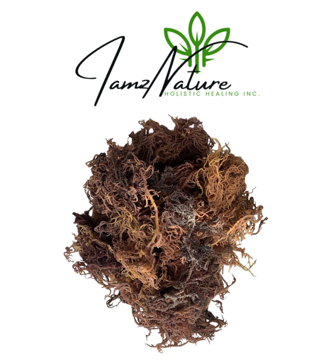 I Amz Nature Honduran Irish Moss