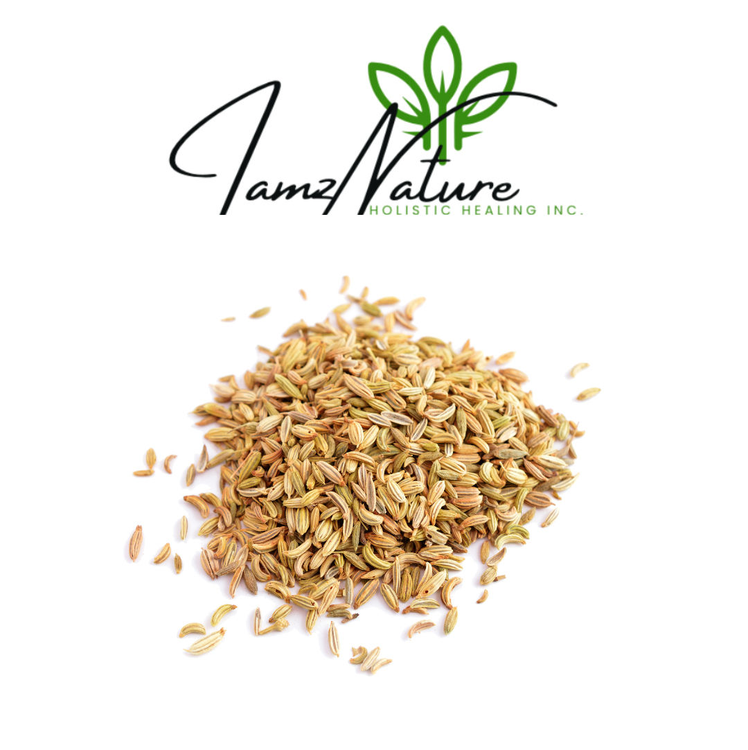 I Amz Nature Fennel Fruit Seed
