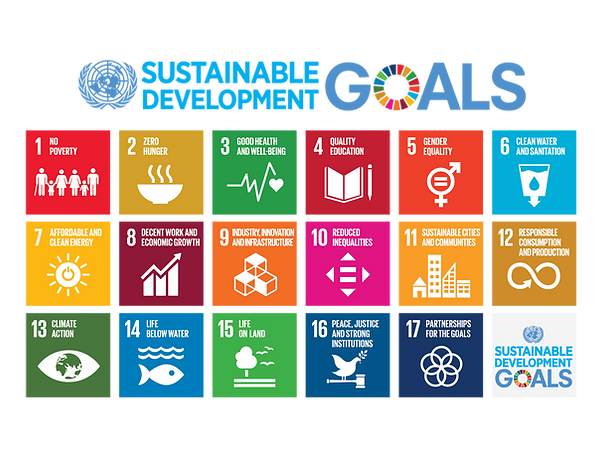 E_2018_SDG_Poster_with_UN_emblem (1).png