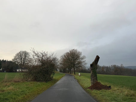 Alles darf sein – über Gefühle, Höhen, Tiefen und den Weg des Lebens.