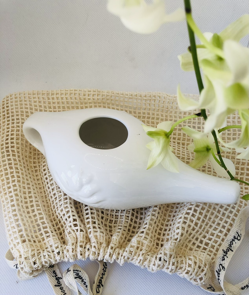 Miniatura: Neti Pot Porcelana