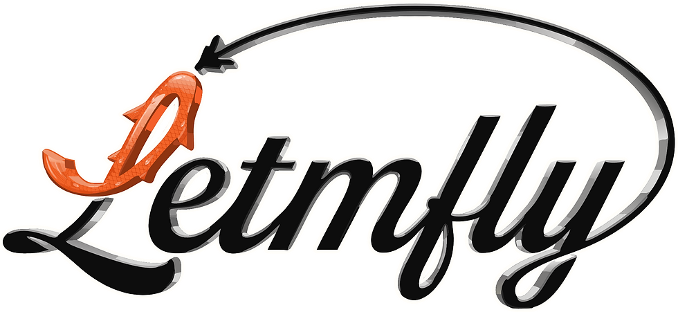 Letmfly Logo png