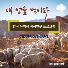 내 양 1_1.jpg