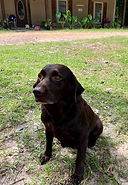 thumbnail (9).jpeg
