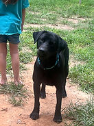 IMG_7401.jpeg