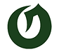 Olympus High School Football