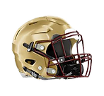 brookings high school football helmet Benedictine (OH) Mini by T-Mac Sports Great for Fans and Collectors. Samuel Brooks EA SPORTS College