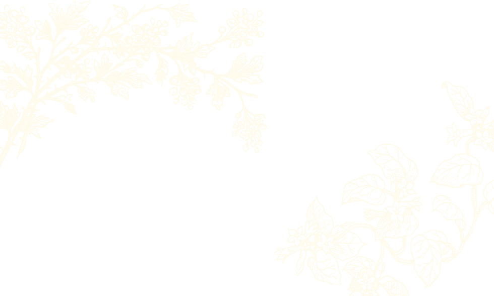 best vegan restaurant in Köln