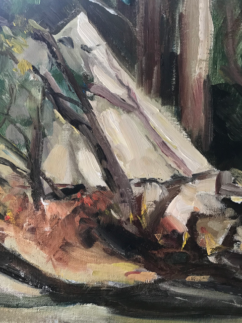 A Tent at the Foreshore.