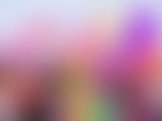 Colour Preferences – where do they come from?