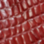ROJOS