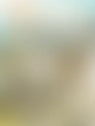 해가 드는 곳으로