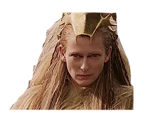 BRUJA TRASPARENTE.png
