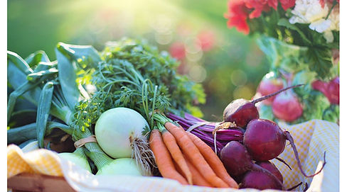 Community garden web.jpg