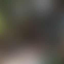 How the Best Hotel in Santiniketan Offers a Perfect Stay Experience