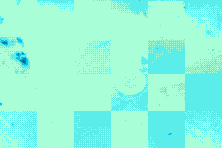giphy.gif
