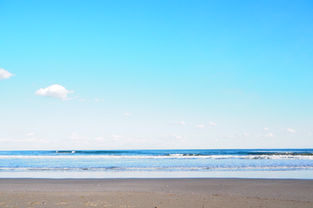 P2060645 - 北島大輔.JPG