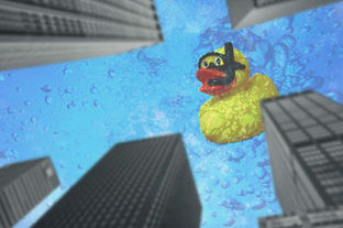 見上げてみたら、そこには海が - 小瀬川幹汰.jpg