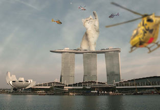 かわいい怪獣 - 小瀬川幹汰.jpg